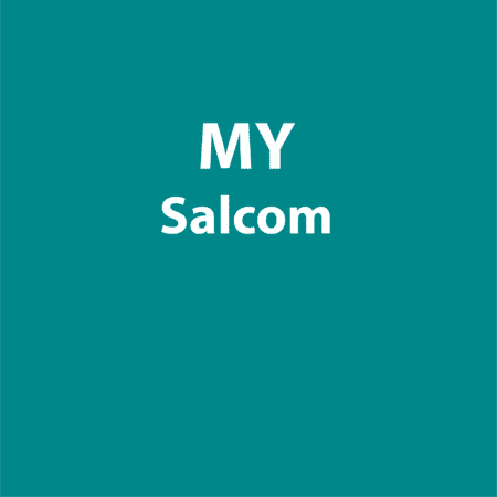 39.19 MY Salcom